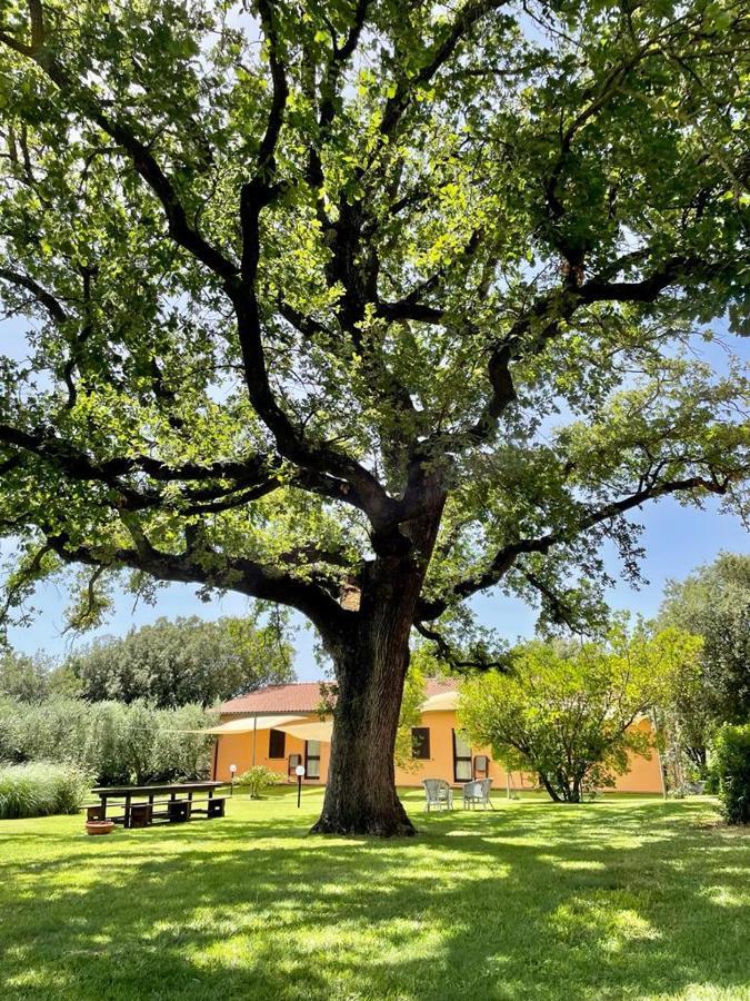 Agriturismo I Tre Fossi Мальяно-ин-Тоскана Экстерьер фото