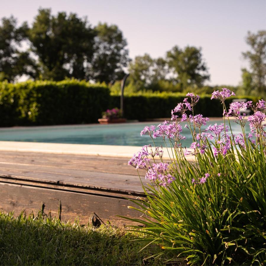 Agriturismo I Tre Fossi Мальяно-ин-Тоскана Экстерьер фото